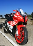 Pit Bull/KWS Motorsports BMW S1000RR