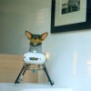 imagebam.com