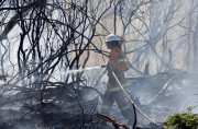 bushfire australia