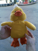 62e64036017140.gif