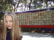 1e5a8937376554.gif
