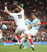 dce79638158114.gif