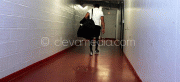 d457e138720574.gif