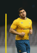ba1f4c39533141.gif