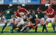 6d8c7a39635953.gif