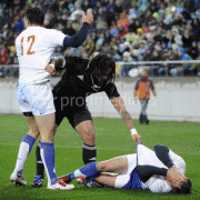 fa1d6439655655.gif