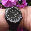 http://thumbnails18.imagebam.com/4252/4b217842519635.gif