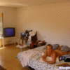 e472d945033834.gif