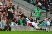 d5e32647910973.gif