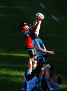 20d66849196645.gif