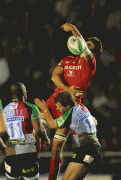 4cf88752788835.gif