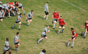 ce2aba54130259.gif