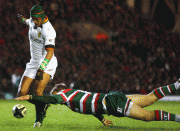 060fa955069631.gif