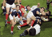 e8804358024360.gif