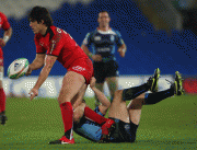 d69f4559641521.gif