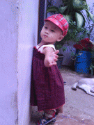 free image host